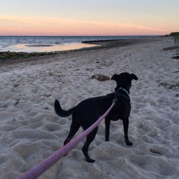 Bookmark My Closet ♡ - Picture 7 of 8